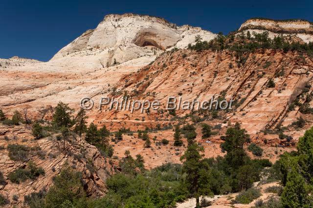 etats unis ouest 31.JPG - Zion National ParkUtah, Etats-Unis